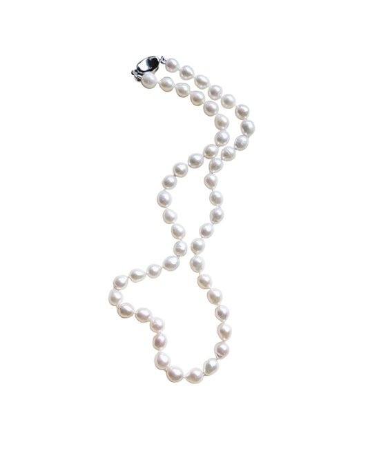 Pearl necklace on a white background
